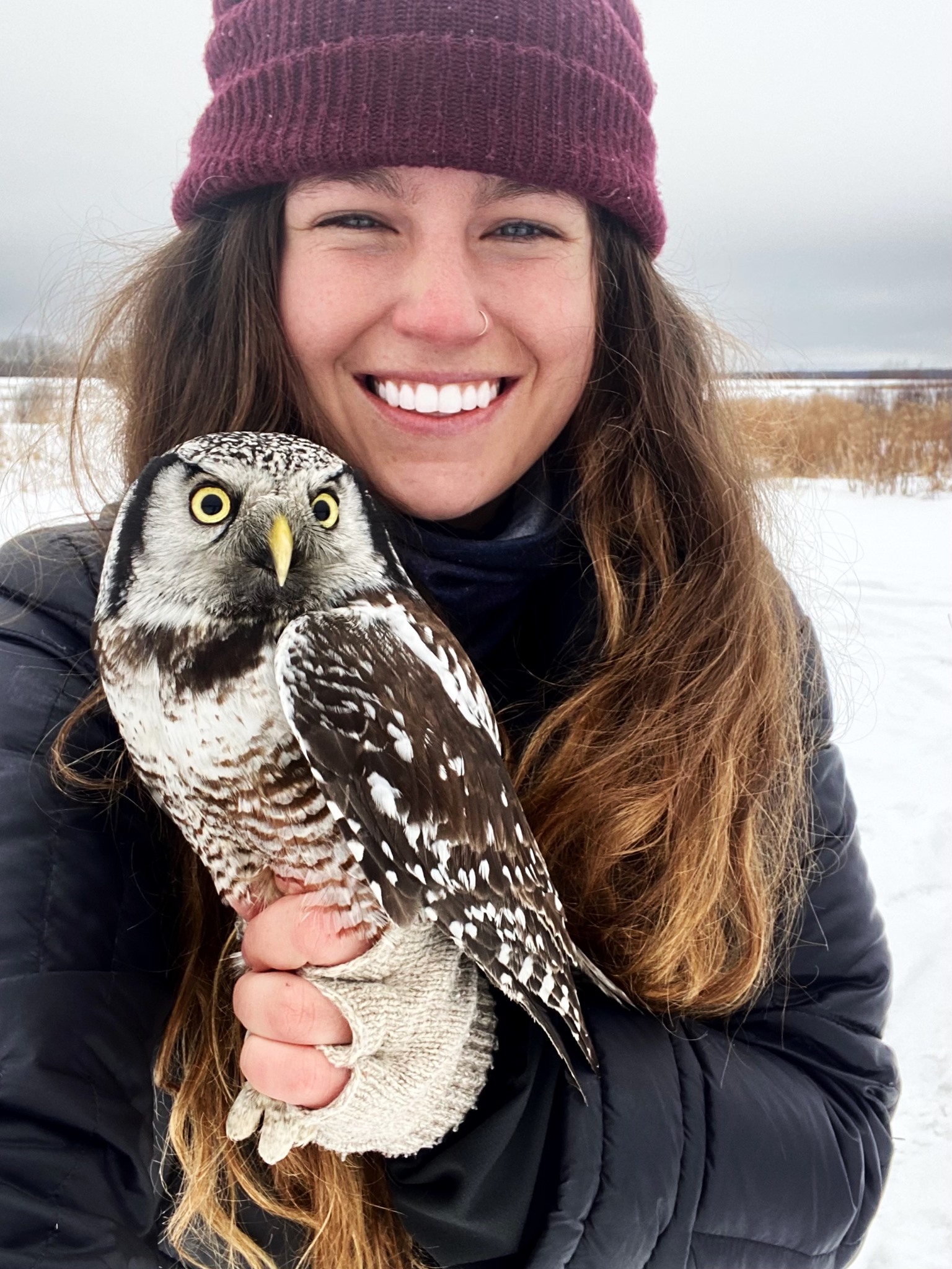 Hannah-Toutonghi-and-Hawk-Owl-